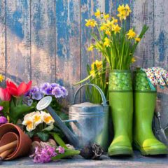 Moving Your Garden