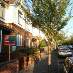 New House