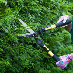 Employ A Gardener