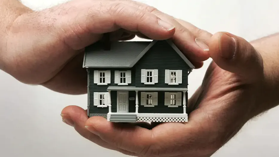 Faqs Insured